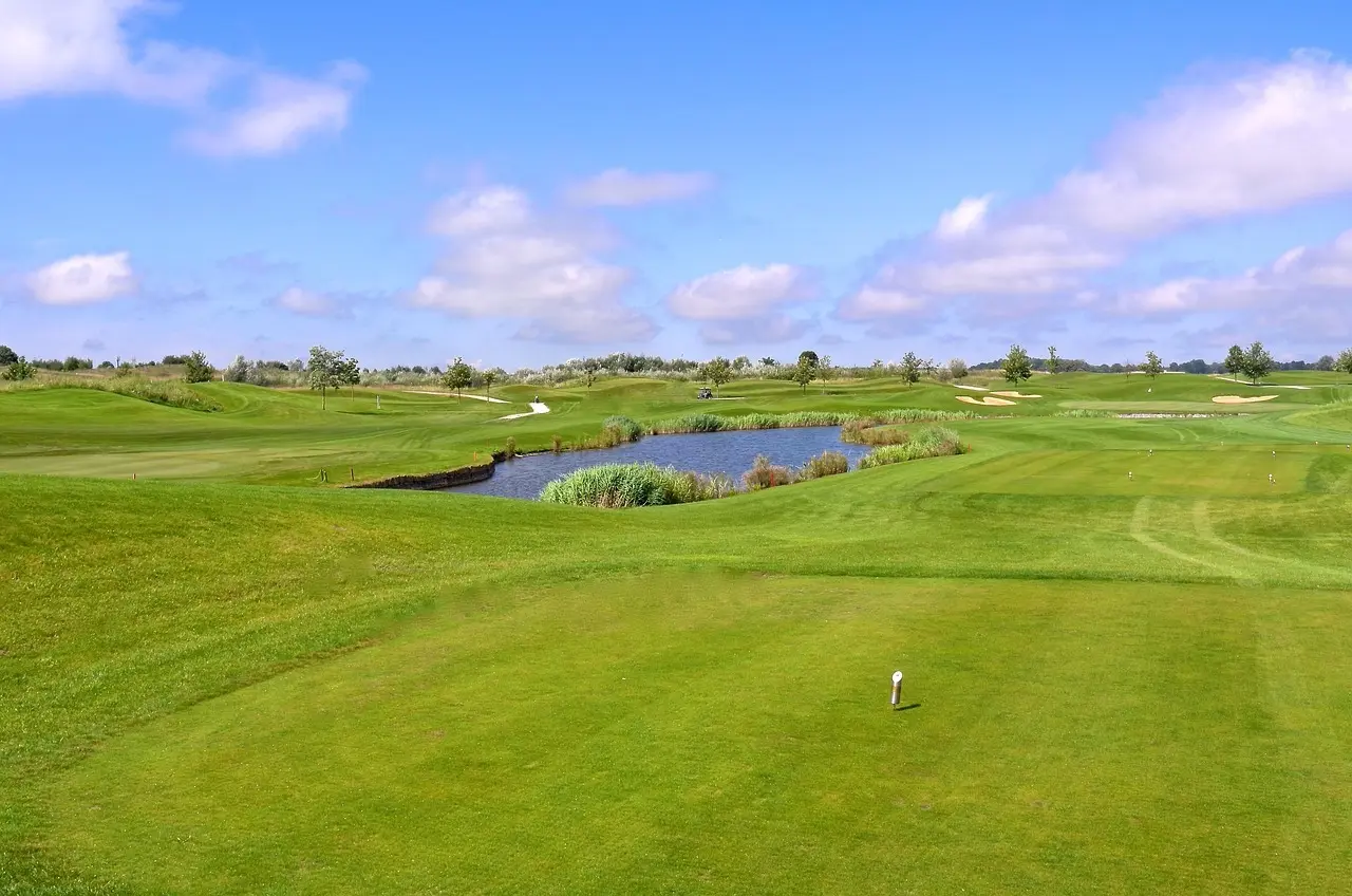 Golfbane med tees og en lille sø